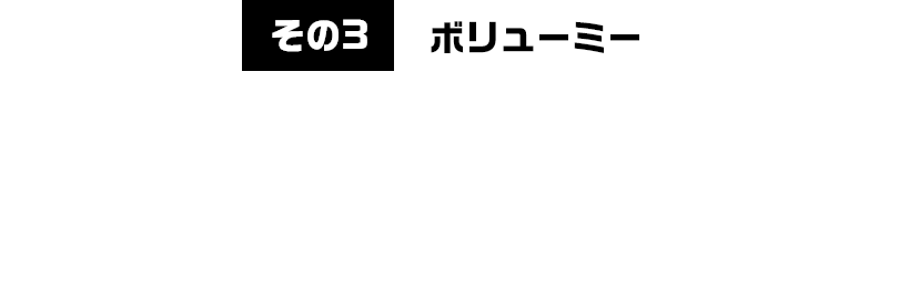その3ボリューミー　満腹必至！圧倒的ボリュームがある